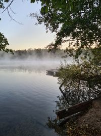 Nebel am See